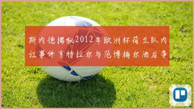 斯内德揭秘2012年欧洲杯荷兰队内讧事件亨特拉尔与范博梅尔酒后争执内幕